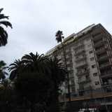 La palma, che proveniva dal cortile di un palazzo in procinto di essere abbattuto, fu ripiantato sulla piazza quasi ad angolo con via Niccol� dell�Arca...